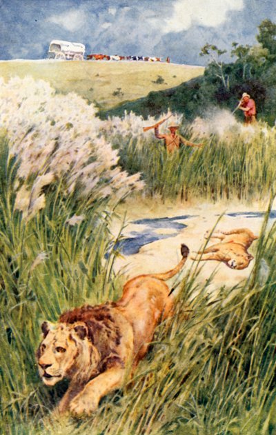 Los bóers del partido valientemente enfrentaron a un león y una leona de Walter Stanley Paget