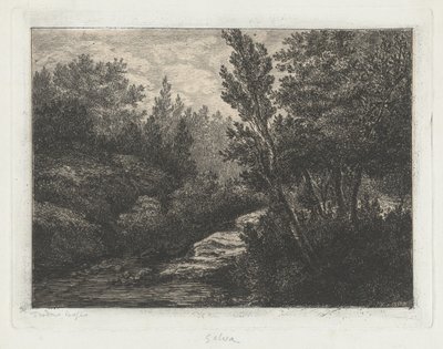 Selva de Walter Teodoro Bosio