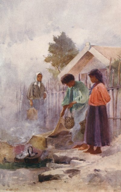 Nueva Zelanda: Cooking in a Hot Spring (litografía en color) de Walter Wright