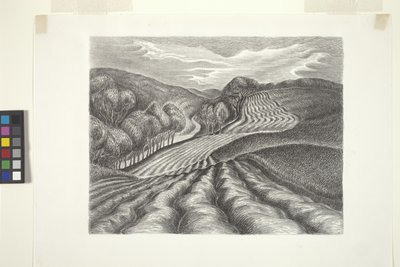 Campos arados (tinta, lápiz) de Wanda Gág