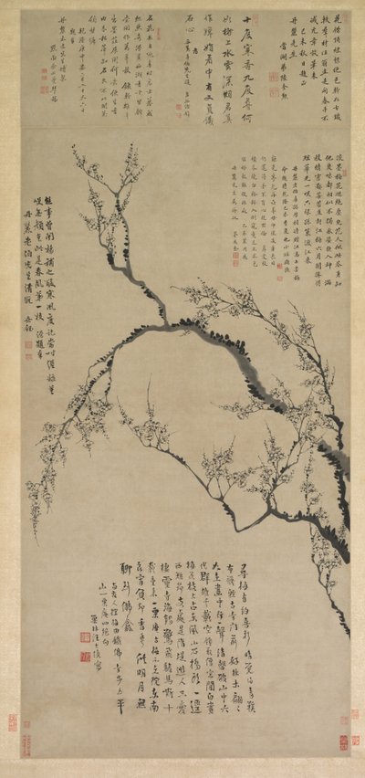 Flores de Ciruelo, 1747 de Wang Shishen
