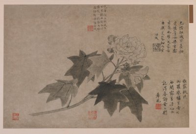 Hibisco, 1347 de Wang Yuan