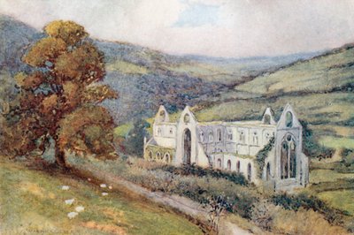  de Warwick (after) Goble