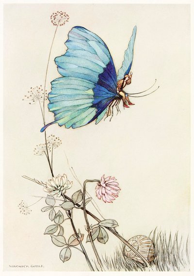 La mariposa alzó el vuelo y se elevó en el aire con el pequeño Tom en su espalda, del Libro de las Hadas de Warwick Goble