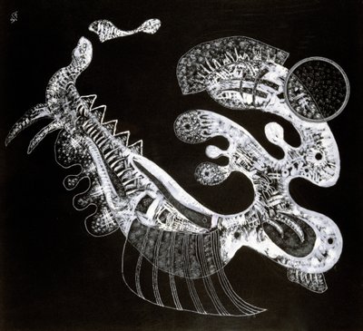 Blanco y negro, siglo XX de Wassily Kandinsky