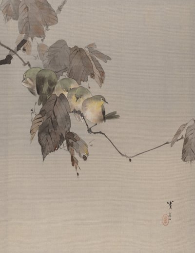 Pájaros en una rama, ca. 1887 de Watanabe Seitei