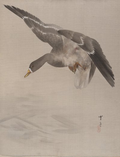 Pato, ca. 1887 de Watanabe Seitei