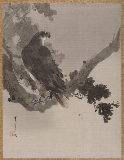 Águila en un árbol, ca. 1887 de Watanabe Seitei