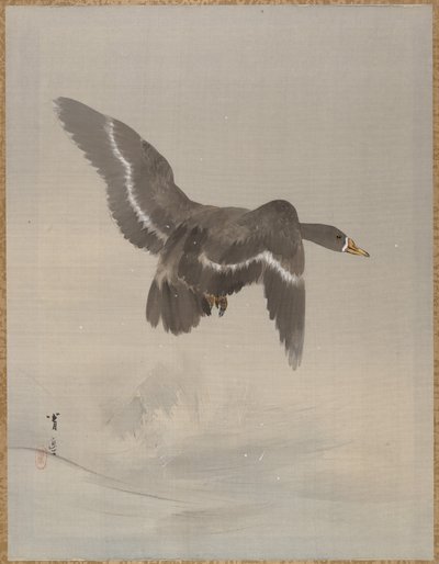 Ganso Volador, ca. 1887 de Watanabe Seitei