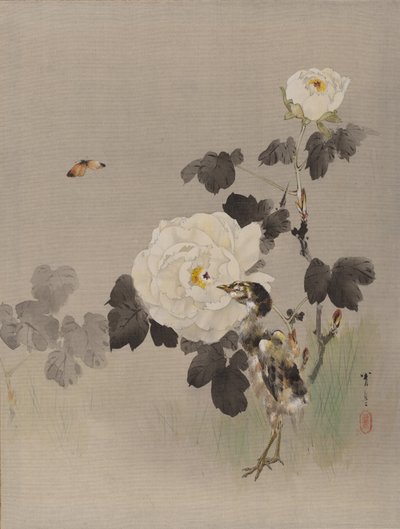 Rosas, pájaro joven y una mariposa de Watanabe Seitei