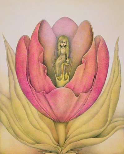 El tulipán estalla con un estallido de Wayne Anderson