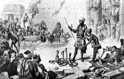 Encantador de serpientes en la segunda sala de Medinet-Habou, 1881 de Weber M