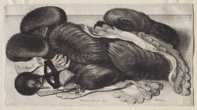  de Wenceslaus Hollar