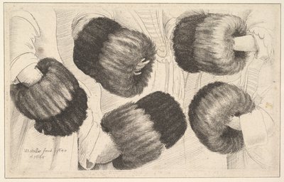 Un manguito en cinco vistas de Wenceslaus Hollar
