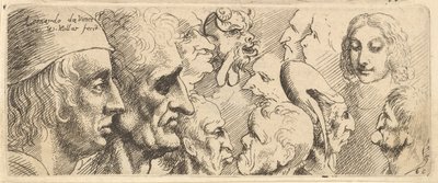 Una variedad de cabezas de Wenceslaus Hollar