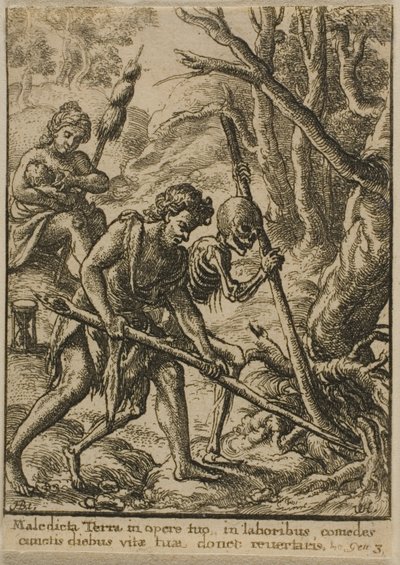 Adán arando de Wenceslaus Hollar