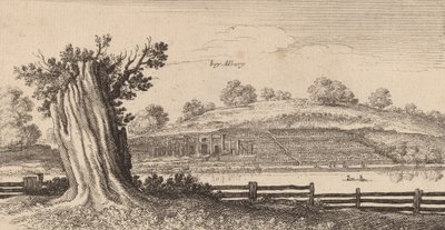 Albury, 1645 de Wenceslaus Hollar