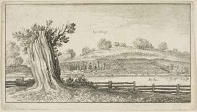 Albury con tocón de árbol en primer plano de Wenceslaus Hollar
