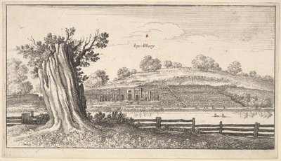 Albury con tocón de árbol en primer plano de Wenceslaus Hollar