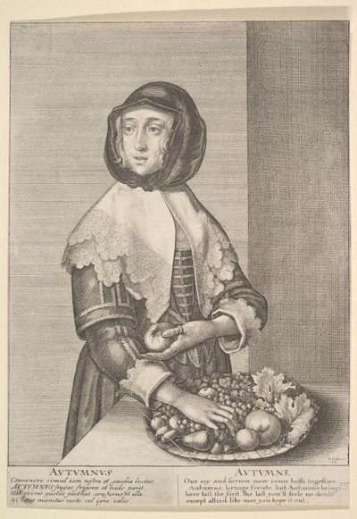 Otoño - Otoño tres cuartos de longitud de Wenceslaus Hollar