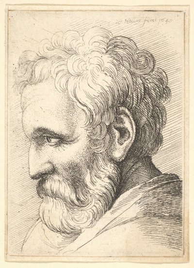 Viejo barbudo de Wenceslaus Hollar