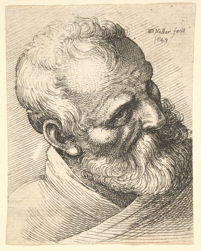 Viejo barbudo con la cabeza inclinada de Wenceslaus Hollar