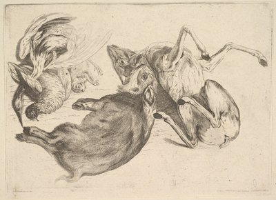Jabalí, ciervo, garza y otros animales de caza de Wenceslaus Hollar