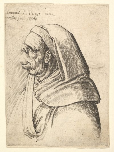 Busto de un hombre con una nariz pequeña y levantada y un labio superior muy alto, con capucha, de perfil..., 1666 de Wenceslaus Hollar