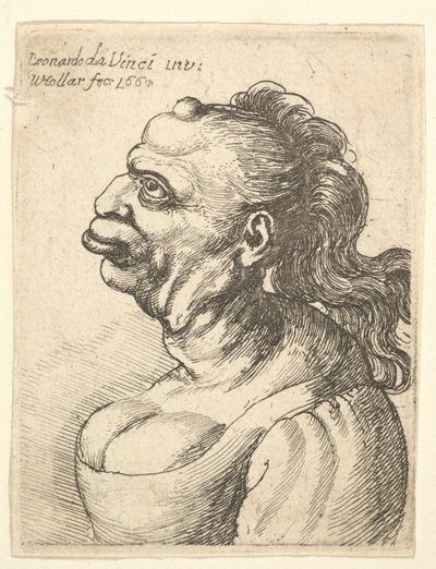 Busto de una mujer con vestido escotado, 1660 de Wenceslaus Hollar