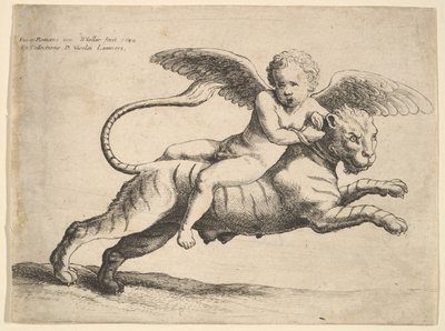 Cupido sobre un tigre, 1652 de Wenceslaus Hollar