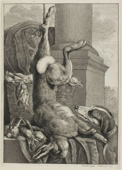 Liebre muerta de Wenceslaus Hollar