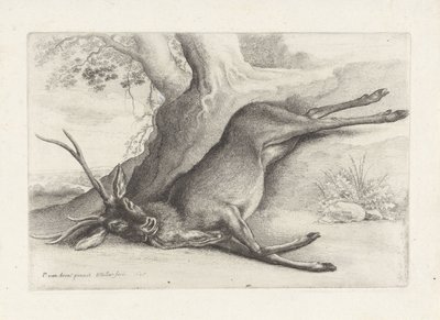 Un ciervo muerto a tiros
Caza, sabuesos y caza (título de la serie) de Wenceslaus Hollar