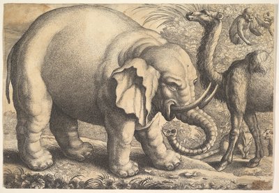 Elefante y camello de Wenceslaus Hollar