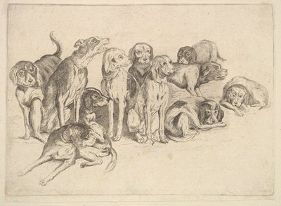 Once Perros de Wenceslaus Hollar