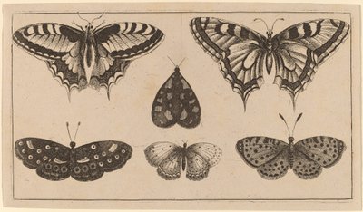 Cinco mariposas y una polilla de Wenceslaus Hollar