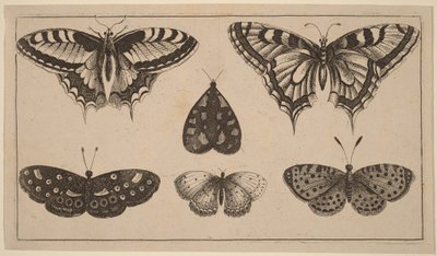  de Wenceslaus Hollar