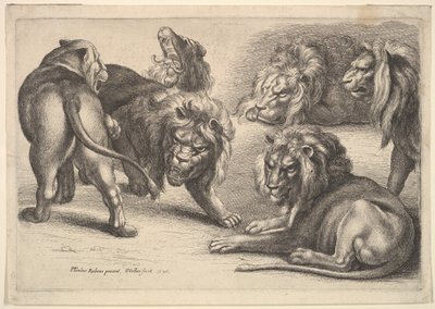 Cinco leones y una leona, 1646 de Wenceslaus Hollar