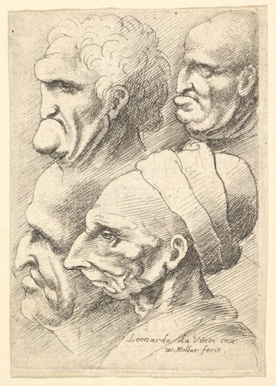 Cuatro cabezas grotescas de perfil a la izquierda de Wenceslaus Hollar