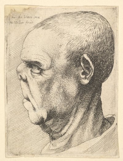Viejo grotesco con nariz aplastada de perfil a la izquierda de Wenceslaus Hollar