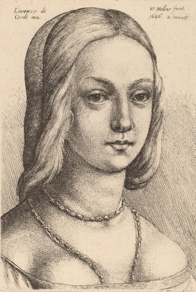 Cabeza de mujer mirando a la derecha de Wenceslaus Hollar