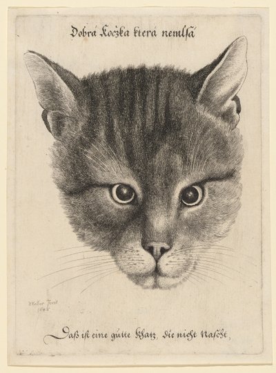  de Wenceslaus Hollar