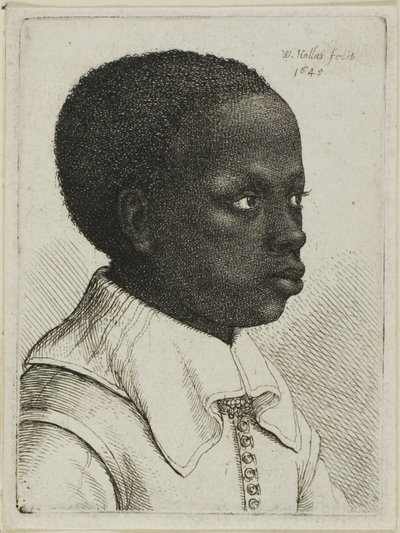 Cabeza de un joven negro de perfil a la derecha de Wenceslaus Hollar