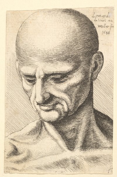 Cabeza de un hombre calvo y musculoso mirando hacia abajo de Wenceslaus Hollar