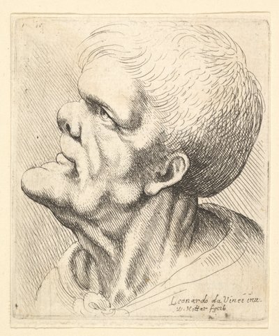 Cabeza de un hombre con mentón prominente y nariz chata mirando hacia arriba en perfil a la izquierda, 1625-77 de Wenceslaus Hollar