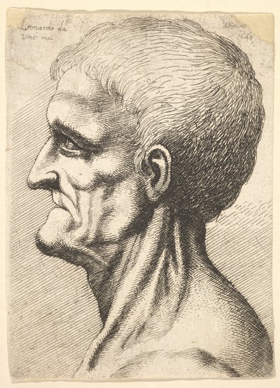 Cabeza de un hombre desdentado con cuello desnudo y nervudo en perfil hacia la izquierda de Wenceslaus Hollar