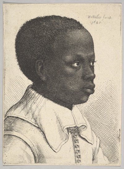 Cabeza de un joven negro en perfil a la derecha, 1645 de Wenceslaus Hollar