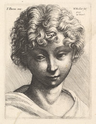 Cabeza de una joven de Wenceslaus Hollar