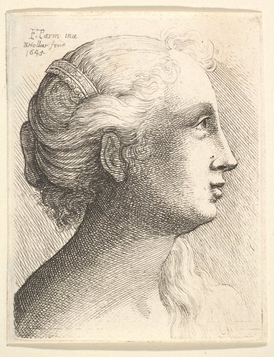Cabeza de una joven de perfil a la derecha, 1645 de Wenceslaus Hollar