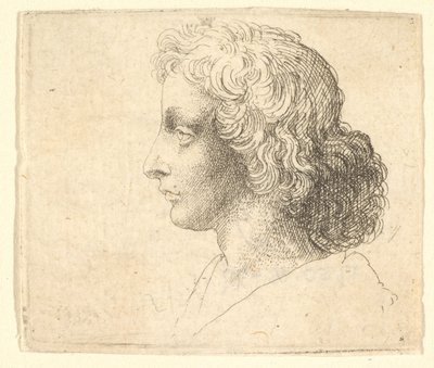 Cabeza de joven con cabello largo de perfil a la izquierda de Wenceslaus Hollar