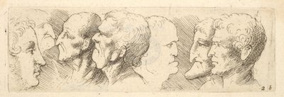 Estudios de cabezas, 1625-77 de Wenceslaus Hollar